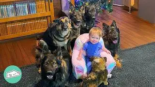 Little Girl Raised By German Shepherds Acts Like A Puppy | Cuddle Buddies