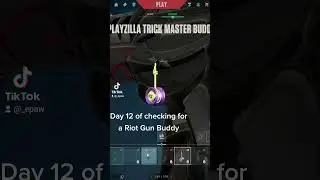 #gaming #valorant #valorantshorts #valorantclip #valorantclips #riotgunbuddy