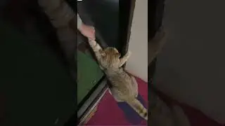 НА РАБОТУ ПОСЛЕ "МАЙСКИХ" 🤣🤪🔥