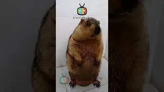 😂🤣 
