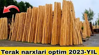 Terak narxlari optim 2023-YIL ☎️+998910403135