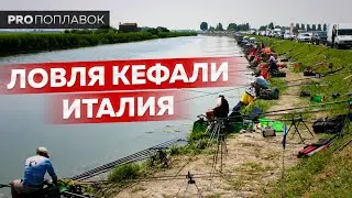 Клубный чемпионат Мира 2013.  Италия. Ловля кефали.