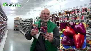 Перец Клякса