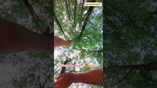 Вернуть СИЛУ и ТАЛАНТ #вернутьсилу
