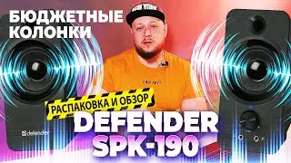 РАСПАКОВКА-ОБЗОР НА БЮДЖЕТНЫЕ КОЛОНКИ Defender SPK-190