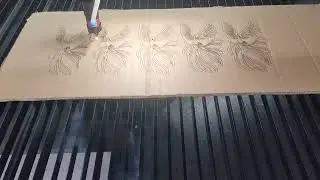 CCD Co2 Laser Cutting Machaine on Cardboard