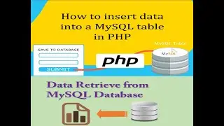 class-14 PHP Data Insert and Retrieve from Database Real Project Tutorial.