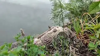 Байкал Листвянка