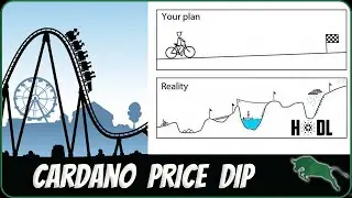 Flash Cardano Price Drop | Don't panic!