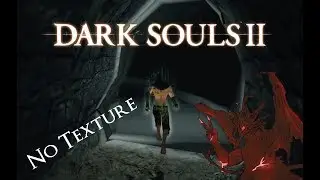 DS2 Scholar of No Textures
