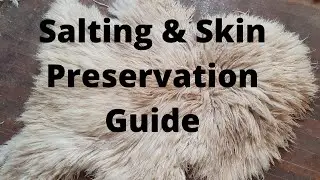 Sheep Tanning - Stage 1 - Salting