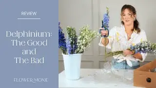 Mastering Delphinium: Tips And Tricks For Working With This Gorgeous Flower