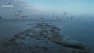 de Wadden, natuur of ook cultuur?