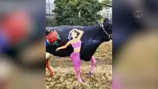 Глаза Отказываются Верить, но Эти Видео Удалось Снять на Камеру