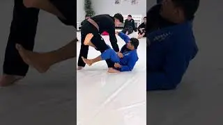 A must-know series of drills and key positions in BJJ. Sharpen your game, level up your jiu-jitsu. 🥋