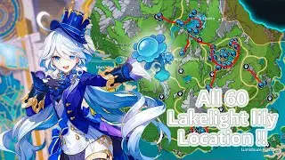 Furina ascension materials!! All 60 Lakelight lily Location !! [Genshin Impact]