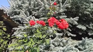Красивенное Утро❤️ Мы Богаты😲..?😂👍