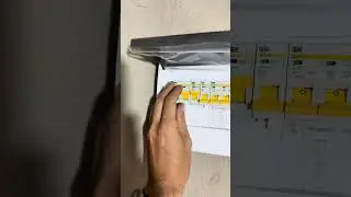 1 августа 2024 г.