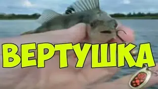 Как ловить  окуня на вертушку.Братья Щербаковы