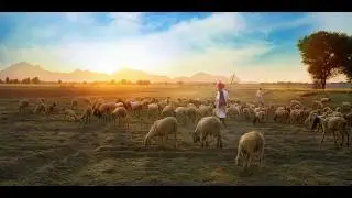 Donkey and Pig: What Does Science Say?