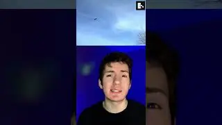 🦅ОРЕЛ СХВАТИЛ РЕБЕНКА - ФЕЙК?🤔 