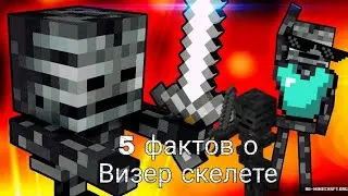 5 фактов о визер скелет. Кто такой визер скелет. Как призвать визер-иссушителя.