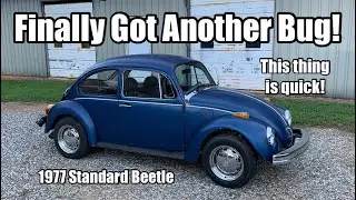 New VW Beetle - Check it Out!