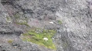 Nanny and kid moving through cliffs