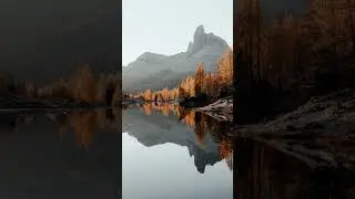 Нечто Прекрасное 2023 | #shorts