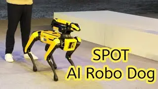 Meet the SPOT | Hyundai X Boston Dynamics | Auto Expo 2023 | eDrive |
