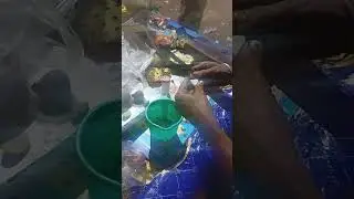 Kya aapne nariyal wali jhal mudi dekhi hai😨😨😨😨#shorts