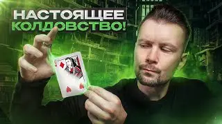 Мощная КАРТОЧНАЯ СМЕНКА для профи + ОБУЧЕНИЕ