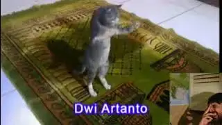 Indian man laughing at Muslim cat