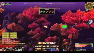 WOW Bug - Swimming to Nagrand!