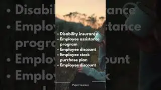 Most Common Benefits of Software Engineers in America
