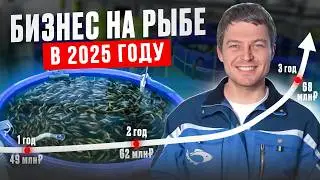 This business doesn't exist in your city yet! How to build a profitable RAS fish farm?