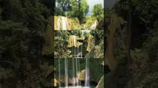 Cute Nature