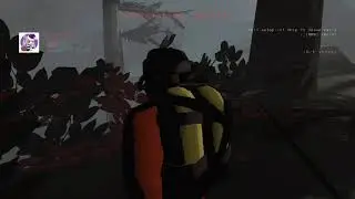 Nice Kill Tony