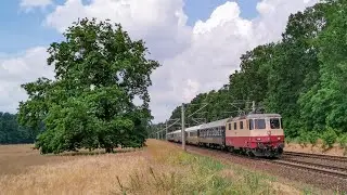 IRSI 421 393 mit einem Sonderzug in Werder (Havel) 🔊