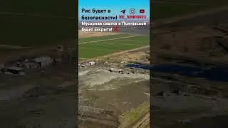 Рис будет в безопасности! ЗАКРЫВАЮТ СВАЛКУ В ПОЛТАВСКОЙ!❌