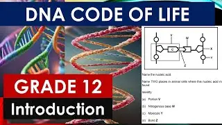 INTRODUCTION TO DNA CODE OF LIFE : GRADE 12 LIFE SCIENCES  BY M.SAIDI THUNDEREDUC