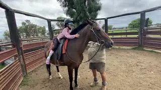 6th February 2022 Horse Ride 2