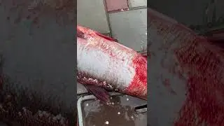 Чистка рыбы)Лайфхак)