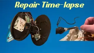 Frankie the Fish repair time-lapse