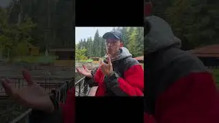 МЕСТО, ГДЕ МОЖНО ПРОСТУДИТЬ Свои БАЛАБОНЧИКИ