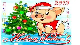 Лучшие анекдоты 2018 года