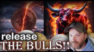 last stream before BTC halving! time to release the bulls??? (charts inside!)