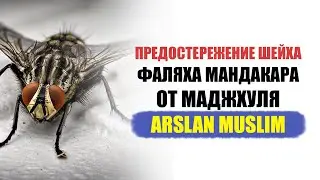 Предостережение шейха Фаляха Мандакара от маджхуля Arslan Muslim 