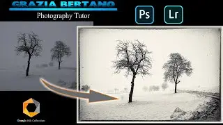 Foto sottoesposta? Ti insegno ad equilibrare la luce e creare un bianco e nero con la Nik Collection