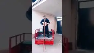 таксилар учун